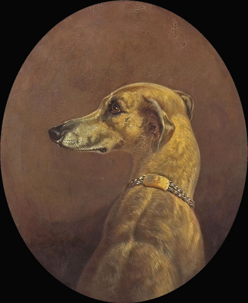 Retrato de un galgo, Rosa Bonheur